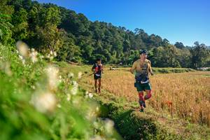 BIB: 
                            <button type="button" onclick="openModal(26570830)" class="btn btn-primary btn-sm float-right btn-popup" data-toggle="modal" data-target=".modal-high-quality">
                        <i class="fas fa-shopping-cart"></i> Add to Cart
                    </button>
                                            <button type="button" onclick="isThisMe(26570830, true)" class="btn btn-success btn-sm float-right btn-popup btn-isme hidden" data-toggle="tooltip" data-placement="bottom" title="นี่คือรูปของคุณใช่ไหม คลิกที่นี่เพื่อเอาเข้าอัลบั้ม">
                        <i class="fas fa-plus"></i> Add to album
                    </button>
                    <button type="button" onclick="isThisMe(26570830, false)" class="btn btn-warning btn-sm float-right btn-popup btn-isnotme hidden">
                        <i class="fas fa-ban"></i> Remove from album
                    </button>