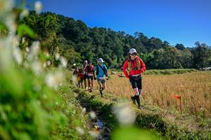 BIB: 
                            <button type="button" onclick="openModal(26573021)" class="btn btn-primary btn-sm float-right btn-popup" data-toggle="modal" data-target=".modal-high-quality">
                        <i class="fas fa-shopping-cart"></i> Add to Cart
                    </button>
                                            <button type="button" onclick="isThisMe(26573021, true)" class="btn btn-success btn-sm float-right btn-popup btn-isme hidden" data-toggle="tooltip" data-placement="bottom" title="นี่คือรูปของคุณใช่ไหม คลิกที่นี่เพื่อเอาเข้าอัลบั้ม">
                        <i class="fas fa-plus"></i> Add to album
                    </button>
                    <button type="button" onclick="isThisMe(26573021, false)" class="btn btn-warning btn-sm float-right btn-popup btn-isnotme hidden">
                        <i class="fas fa-ban"></i> Remove from album
                    </button>