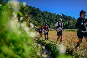 BIB: 
                            <button type="button" onclick="openModal(26574597)" class="btn btn-primary btn-sm float-right btn-popup" data-toggle="modal" data-target=".modal-high-quality">
                        <i class="fas fa-shopping-cart"></i> Add to Cart
                    </button>
                                            <button type="button" onclick="isThisMe(26574597, true)" class="btn btn-success btn-sm float-right btn-popup btn-isme hidden" data-toggle="tooltip" data-placement="bottom" title="นี่คือรูปของคุณใช่ไหม คลิกที่นี่เพื่อเอาเข้าอัลบั้ม">
                        <i class="fas fa-plus"></i> Add to album
                    </button>
                    <button type="button" onclick="isThisMe(26574597, false)" class="btn btn-warning btn-sm float-right btn-popup btn-isnotme hidden">
                        <i class="fas fa-ban"></i> Remove from album
                    </button>