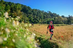 BIB: 
                            <button type="button" onclick="openModal(26570983)" class="btn btn-primary btn-sm float-right btn-popup" data-toggle="modal" data-target=".modal-high-quality">
                        <i class="fas fa-shopping-cart"></i> Add to Cart
                    </button>
                                            <button type="button" onclick="isThisMe(26570983, true)" class="btn btn-success btn-sm float-right btn-popup btn-isme hidden" data-toggle="tooltip" data-placement="bottom" title="นี่คือรูปของคุณใช่ไหม คลิกที่นี่เพื่อเอาเข้าอัลบั้ม">
                        <i class="fas fa-plus"></i> Add to album
                    </button>
                    <button type="button" onclick="isThisMe(26570983, false)" class="btn btn-warning btn-sm float-right btn-popup btn-isnotme hidden">
                        <i class="fas fa-ban"></i> Remove from album
                    </button>