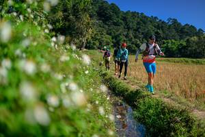 BIB: 
                            <button type="button" onclick="openModal(26583208)" class="btn btn-primary btn-sm float-right btn-popup" data-toggle="modal" data-target=".modal-high-quality">
                        <i class="fas fa-shopping-cart"></i> Add to Cart
                    </button>
                                            <button type="button" onclick="isThisMe(26583208, true)" class="btn btn-success btn-sm float-right btn-popup btn-isme hidden" data-toggle="tooltip" data-placement="bottom" title="นี่คือรูปของคุณใช่ไหม คลิกที่นี่เพื่อเอาเข้าอัลบั้ม">
                        <i class="fas fa-plus"></i> Add to album
                    </button>
                    <button type="button" onclick="isThisMe(26583208, false)" class="btn btn-warning btn-sm float-right btn-popup btn-isnotme hidden">
                        <i class="fas fa-ban"></i> Remove from album
                    </button>