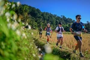 BIB: 
                            <button type="button" onclick="openModal(26571763)" class="btn btn-primary btn-sm float-right btn-popup" data-toggle="modal" data-target=".modal-high-quality">
                        <i class="fas fa-shopping-cart"></i> Add to Cart
                    </button>
                                            <button type="button" onclick="isThisMe(26571763, true)" class="btn btn-success btn-sm float-right btn-popup btn-isme hidden" data-toggle="tooltip" data-placement="bottom" title="นี่คือรูปของคุณใช่ไหม คลิกที่นี่เพื่อเอาเข้าอัลบั้ม">
                        <i class="fas fa-plus"></i> Add to album
                    </button>
                    <button type="button" onclick="isThisMe(26571763, false)" class="btn btn-warning btn-sm float-right btn-popup btn-isnotme hidden">
                        <i class="fas fa-ban"></i> Remove from album
                    </button>