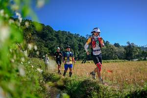 BIB: 
                            <button type="button" onclick="openModal(26580052)" class="btn btn-primary btn-sm float-right btn-popup" data-toggle="modal" data-target=".modal-high-quality">
                        <i class="fas fa-shopping-cart"></i> Add to Cart
                    </button>
                                            <button type="button" onclick="isThisMe(26580052, true)" class="btn btn-success btn-sm float-right btn-popup btn-isme hidden" data-toggle="tooltip" data-placement="bottom" title="นี่คือรูปของคุณใช่ไหม คลิกที่นี่เพื่อเอาเข้าอัลบั้ม">
                        <i class="fas fa-plus"></i> Add to album
                    </button>
                    <button type="button" onclick="isThisMe(26580052, false)" class="btn btn-warning btn-sm float-right btn-popup btn-isnotme hidden">
                        <i class="fas fa-ban"></i> Remove from album
                    </button>