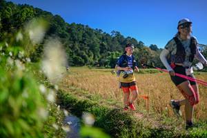 BIB: 
                            <button type="button" onclick="openModal(26575848)" class="btn btn-primary btn-sm float-right btn-popup" data-toggle="modal" data-target=".modal-high-quality">
                        <i class="fas fa-shopping-cart"></i> Add to Cart
                    </button>
                                            <button type="button" onclick="isThisMe(26575848, true)" class="btn btn-success btn-sm float-right btn-popup btn-isme hidden" data-toggle="tooltip" data-placement="bottom" title="นี่คือรูปของคุณใช่ไหม คลิกที่นี่เพื่อเอาเข้าอัลบั้ม">
                        <i class="fas fa-plus"></i> Add to album
                    </button>
                    <button type="button" onclick="isThisMe(26575848, false)" class="btn btn-warning btn-sm float-right btn-popup btn-isnotme hidden">
                        <i class="fas fa-ban"></i> Remove from album
                    </button>