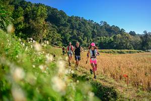 BIB: 
                            <button type="button" onclick="openModal(26570649)" class="btn btn-primary btn-sm float-right btn-popup" data-toggle="modal" data-target=".modal-high-quality">
                        <i class="fas fa-shopping-cart"></i> Add to Cart
                    </button>
                                            <button type="button" onclick="isThisMe(26570649, true)" class="btn btn-success btn-sm float-right btn-popup btn-isme hidden" data-toggle="tooltip" data-placement="bottom" title="นี่คือรูปของคุณใช่ไหม คลิกที่นี่เพื่อเอาเข้าอัลบั้ม">
                        <i class="fas fa-plus"></i> Add to album
                    </button>
                    <button type="button" onclick="isThisMe(26570649, false)" class="btn btn-warning btn-sm float-right btn-popup btn-isnotme hidden">
                        <i class="fas fa-ban"></i> Remove from album
                    </button>