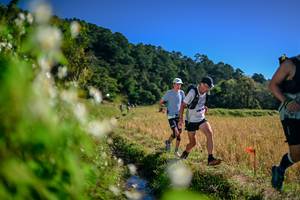 BIB: 
                            <button type="button" onclick="openModal(26574305)" class="btn btn-primary btn-sm float-right btn-popup" data-toggle="modal" data-target=".modal-high-quality">
                        <i class="fas fa-shopping-cart"></i> Add to Cart
                    </button>
                                            <button type="button" onclick="isThisMe(26574305, true)" class="btn btn-success btn-sm float-right btn-popup btn-isme hidden" data-toggle="tooltip" data-placement="bottom" title="นี่คือรูปของคุณใช่ไหม คลิกที่นี่เพื่อเอาเข้าอัลบั้ม">
                        <i class="fas fa-plus"></i> Add to album
                    </button>
                    <button type="button" onclick="isThisMe(26574305, false)" class="btn btn-warning btn-sm float-right btn-popup btn-isnotme hidden">
                        <i class="fas fa-ban"></i> Remove from album
                    </button>