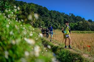 BIB: 
                            <button type="button" onclick="openModal(26583118)" class="btn btn-primary btn-sm float-right btn-popup" data-toggle="modal" data-target=".modal-high-quality">
                        <i class="fas fa-shopping-cart"></i> Add to Cart
                    </button>
                                            <button type="button" onclick="isThisMe(26583118, true)" class="btn btn-success btn-sm float-right btn-popup btn-isme hidden" data-toggle="tooltip" data-placement="bottom" title="นี่คือรูปของคุณใช่ไหม คลิกที่นี่เพื่อเอาเข้าอัลบั้ม">
                        <i class="fas fa-plus"></i> Add to album
                    </button>
                    <button type="button" onclick="isThisMe(26583118, false)" class="btn btn-warning btn-sm float-right btn-popup btn-isnotme hidden">
                        <i class="fas fa-ban"></i> Remove from album
                    </button>