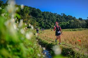 BIB: 
                            <button type="button" onclick="openModal(26572564)" class="btn btn-primary btn-sm float-right btn-popup" data-toggle="modal" data-target=".modal-high-quality">
                        <i class="fas fa-shopping-cart"></i> Add to Cart
                    </button>
                                            <button type="button" onclick="isThisMe(26572564, true)" class="btn btn-success btn-sm float-right btn-popup btn-isme hidden" data-toggle="tooltip" data-placement="bottom" title="นี่คือรูปของคุณใช่ไหม คลิกที่นี่เพื่อเอาเข้าอัลบั้ม">
                        <i class="fas fa-plus"></i> Add to album
                    </button>
                    <button type="button" onclick="isThisMe(26572564, false)" class="btn btn-warning btn-sm float-right btn-popup btn-isnotme hidden">
                        <i class="fas fa-ban"></i> Remove from album
                    </button>