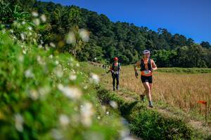 BIB: 
                            <button type="button" onclick="openModal(26583106)" class="btn btn-primary btn-sm float-right btn-popup" data-toggle="modal" data-target=".modal-high-quality">
                        <i class="fas fa-shopping-cart"></i> Add to Cart
                    </button>
                                            <button type="button" onclick="isThisMe(26583106, true)" class="btn btn-success btn-sm float-right btn-popup btn-isme hidden" data-toggle="tooltip" data-placement="bottom" title="นี่คือรูปของคุณใช่ไหม คลิกที่นี่เพื่อเอาเข้าอัลบั้ม">
                        <i class="fas fa-plus"></i> Add to album
                    </button>
                    <button type="button" onclick="isThisMe(26583106, false)" class="btn btn-warning btn-sm float-right btn-popup btn-isnotme hidden">
                        <i class="fas fa-ban"></i> Remove from album
                    </button>