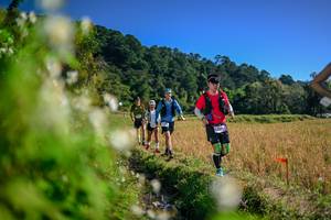 BIB: 
                            <button type="button" onclick="openModal(26574371)" class="btn btn-primary btn-sm float-right btn-popup" data-toggle="modal" data-target=".modal-high-quality">
                        <i class="fas fa-shopping-cart"></i> Add to Cart
                    </button>
                                            <button type="button" onclick="isThisMe(26574371, true)" class="btn btn-success btn-sm float-right btn-popup btn-isme hidden" data-toggle="tooltip" data-placement="bottom" title="นี่คือรูปของคุณใช่ไหม คลิกที่นี่เพื่อเอาเข้าอัลบั้ม">
                        <i class="fas fa-plus"></i> Add to album
                    </button>
                    <button type="button" onclick="isThisMe(26574371, false)" class="btn btn-warning btn-sm float-right btn-popup btn-isnotme hidden">
                        <i class="fas fa-ban"></i> Remove from album
                    </button>