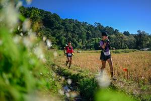 BIB: 
                            <button type="button" onclick="openModal(26572331)" class="btn btn-primary btn-sm float-right btn-popup" data-toggle="modal" data-target=".modal-high-quality">
                        <i class="fas fa-shopping-cart"></i> Add to Cart
                    </button>
                                            <button type="button" onclick="isThisMe(26572331, true)" class="btn btn-success btn-sm float-right btn-popup btn-isme hidden" data-toggle="tooltip" data-placement="bottom" title="นี่คือรูปของคุณใช่ไหม คลิกที่นี่เพื่อเอาเข้าอัลบั้ม">
                        <i class="fas fa-plus"></i> Add to album
                    </button>
                    <button type="button" onclick="isThisMe(26572331, false)" class="btn btn-warning btn-sm float-right btn-popup btn-isnotme hidden">
                        <i class="fas fa-ban"></i> Remove from album
                    </button>