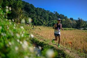 BIB: 
                            <button type="button" onclick="openModal(26576364)" class="btn btn-primary btn-sm float-right btn-popup" data-toggle="modal" data-target=".modal-high-quality">
                        <i class="fas fa-shopping-cart"></i> Add to Cart
                    </button>
                                            <button type="button" onclick="isThisMe(26576364, true)" class="btn btn-success btn-sm float-right btn-popup btn-isme hidden" data-toggle="tooltip" data-placement="bottom" title="นี่คือรูปของคุณใช่ไหม คลิกที่นี่เพื่อเอาเข้าอัลบั้ม">
                        <i class="fas fa-plus"></i> Add to album
                    </button>
                    <button type="button" onclick="isThisMe(26576364, false)" class="btn btn-warning btn-sm float-right btn-popup btn-isnotme hidden">
                        <i class="fas fa-ban"></i> Remove from album
                    </button>