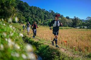 BIB: 
                            <button type="button" onclick="openModal(26576441)" class="btn btn-primary btn-sm float-right btn-popup" data-toggle="modal" data-target=".modal-high-quality">
                        <i class="fas fa-shopping-cart"></i> Add to Cart
                    </button>
                                            <button type="button" onclick="isThisMe(26576441, true)" class="btn btn-success btn-sm float-right btn-popup btn-isme hidden" data-toggle="tooltip" data-placement="bottom" title="นี่คือรูปของคุณใช่ไหม คลิกที่นี่เพื่อเอาเข้าอัลบั้ม">
                        <i class="fas fa-plus"></i> Add to album
                    </button>
                    <button type="button" onclick="isThisMe(26576441, false)" class="btn btn-warning btn-sm float-right btn-popup btn-isnotme hidden">
                        <i class="fas fa-ban"></i> Remove from album
                    </button>