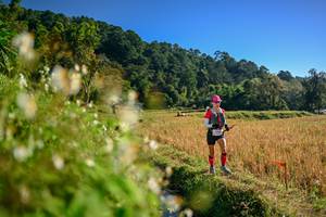 BIB: 
                            <button type="button" onclick="openModal(26571196)" class="btn btn-primary btn-sm float-right btn-popup" data-toggle="modal" data-target=".modal-high-quality">
                        <i class="fas fa-shopping-cart"></i> Add to Cart
                    </button>
                                            <button type="button" onclick="isThisMe(26571196, true)" class="btn btn-success btn-sm float-right btn-popup btn-isme hidden" data-toggle="tooltip" data-placement="bottom" title="นี่คือรูปของคุณใช่ไหม คลิกที่นี่เพื่อเอาเข้าอัลบั้ม">
                        <i class="fas fa-plus"></i> Add to album
                    </button>
                    <button type="button" onclick="isThisMe(26571196, false)" class="btn btn-warning btn-sm float-right btn-popup btn-isnotme hidden">
                        <i class="fas fa-ban"></i> Remove from album
                    </button>