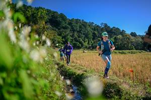 BIB: 
                            <button type="button" onclick="openModal(26573361)" class="btn btn-primary btn-sm float-right btn-popup" data-toggle="modal" data-target=".modal-high-quality">
                        <i class="fas fa-shopping-cart"></i> Add to Cart
                    </button>
                                            <button type="button" onclick="isThisMe(26573361, true)" class="btn btn-success btn-sm float-right btn-popup btn-isme hidden" data-toggle="tooltip" data-placement="bottom" title="นี่คือรูปของคุณใช่ไหม คลิกที่นี่เพื่อเอาเข้าอัลบั้ม">
                        <i class="fas fa-plus"></i> Add to album
                    </button>
                    <button type="button" onclick="isThisMe(26573361, false)" class="btn btn-warning btn-sm float-right btn-popup btn-isnotme hidden">
                        <i class="fas fa-ban"></i> Remove from album
                    </button>