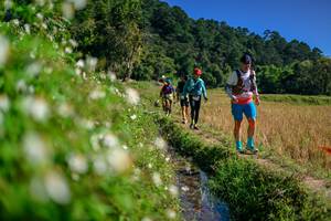 BIB: 
                            <button type="button" onclick="openModal(26583217)" class="btn btn-primary btn-sm float-right btn-popup" data-toggle="modal" data-target=".modal-high-quality">
                        <i class="fas fa-shopping-cart"></i> Add to Cart
                    </button>
                                            <button type="button" onclick="isThisMe(26583217, true)" class="btn btn-success btn-sm float-right btn-popup btn-isme hidden" data-toggle="tooltip" data-placement="bottom" title="นี่คือรูปของคุณใช่ไหม คลิกที่นี่เพื่อเอาเข้าอัลบั้ม">
                        <i class="fas fa-plus"></i> Add to album
                    </button>
                    <button type="button" onclick="isThisMe(26583217, false)" class="btn btn-warning btn-sm float-right btn-popup btn-isnotme hidden">
                        <i class="fas fa-ban"></i> Remove from album
                    </button>