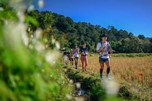 BIB: 
                            <button type="button" onclick="openModal(26573285)" class="btn btn-primary btn-sm float-right btn-popup" data-toggle="modal" data-target=".modal-high-quality">
                        <i class="fas fa-shopping-cart"></i> Add to Cart
                    </button>
                                            <button type="button" onclick="isThisMe(26573285, true)" class="btn btn-success btn-sm float-right btn-popup btn-isme hidden" data-toggle="tooltip" data-placement="bottom" title="นี่คือรูปของคุณใช่ไหม คลิกที่นี่เพื่อเอาเข้าอัลบั้ม">
                        <i class="fas fa-plus"></i> Add to album
                    </button>
                    <button type="button" onclick="isThisMe(26573285, false)" class="btn btn-warning btn-sm float-right btn-popup btn-isnotme hidden">
                        <i class="fas fa-ban"></i> Remove from album
                    </button>