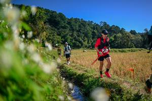 BIB: 
                            <button type="button" onclick="openModal(26574687)" class="btn btn-primary btn-sm float-right btn-popup" data-toggle="modal" data-target=".modal-high-quality">
                        <i class="fas fa-shopping-cart"></i> Add to Cart
                    </button>
                                            <button type="button" onclick="isThisMe(26574687, true)" class="btn btn-success btn-sm float-right btn-popup btn-isme hidden" data-toggle="tooltip" data-placement="bottom" title="นี่คือรูปของคุณใช่ไหม คลิกที่นี่เพื่อเอาเข้าอัลบั้ม">
                        <i class="fas fa-plus"></i> Add to album
                    </button>
                    <button type="button" onclick="isThisMe(26574687, false)" class="btn btn-warning btn-sm float-right btn-popup btn-isnotme hidden">
                        <i class="fas fa-ban"></i> Remove from album
                    </button>