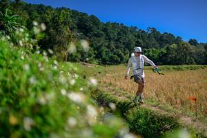 BIB: 
                            <button type="button" onclick="openModal(26581954)" class="btn btn-primary btn-sm float-right btn-popup" data-toggle="modal" data-target=".modal-high-quality">
                        <i class="fas fa-shopping-cart"></i> Add to Cart
                    </button>
                                            <button type="button" onclick="isThisMe(26581954, true)" class="btn btn-success btn-sm float-right btn-popup btn-isme hidden" data-toggle="tooltip" data-placement="bottom" title="นี่คือรูปของคุณใช่ไหม คลิกที่นี่เพื่อเอาเข้าอัลบั้ม">
                        <i class="fas fa-plus"></i> Add to album
                    </button>
                    <button type="button" onclick="isThisMe(26581954, false)" class="btn btn-warning btn-sm float-right btn-popup btn-isnotme hidden">
                        <i class="fas fa-ban"></i> Remove from album
                    </button>