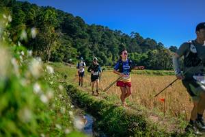 BIB: 
                            <button type="button" onclick="openModal(26575883)" class="btn btn-primary btn-sm float-right btn-popup" data-toggle="modal" data-target=".modal-high-quality">
                        <i class="fas fa-shopping-cart"></i> Add to Cart
                    </button>
                                            <button type="button" onclick="isThisMe(26575883, true)" class="btn btn-success btn-sm float-right btn-popup btn-isme hidden" data-toggle="tooltip" data-placement="bottom" title="นี่คือรูปของคุณใช่ไหม คลิกที่นี่เพื่อเอาเข้าอัลบั้ม">
                        <i class="fas fa-plus"></i> Add to album
                    </button>
                    <button type="button" onclick="isThisMe(26575883, false)" class="btn btn-warning btn-sm float-right btn-popup btn-isnotme hidden">
                        <i class="fas fa-ban"></i> Remove from album
                    </button>