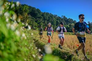 BIB: 
                            <button type="button" onclick="openModal(26571764)" class="btn btn-primary btn-sm float-right btn-popup" data-toggle="modal" data-target=".modal-high-quality">
                        <i class="fas fa-shopping-cart"></i> Add to Cart
                    </button>
                                            <button type="button" onclick="isThisMe(26571764, true)" class="btn btn-success btn-sm float-right btn-popup btn-isme hidden" data-toggle="tooltip" data-placement="bottom" title="นี่คือรูปของคุณใช่ไหม คลิกที่นี่เพื่อเอาเข้าอัลบั้ม">
                        <i class="fas fa-plus"></i> Add to album
                    </button>
                    <button type="button" onclick="isThisMe(26571764, false)" class="btn btn-warning btn-sm float-right btn-popup btn-isnotme hidden">
                        <i class="fas fa-ban"></i> Remove from album
                    </button>