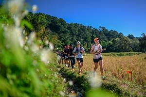 BIB: 
                            <button type="button" onclick="openModal(26572365)" class="btn btn-primary btn-sm float-right btn-popup" data-toggle="modal" data-target=".modal-high-quality">
                        <i class="fas fa-shopping-cart"></i> Add to Cart
                    </button>
                                            <button type="button" onclick="isThisMe(26572365, true)" class="btn btn-success btn-sm float-right btn-popup btn-isme hidden" data-toggle="tooltip" data-placement="bottom" title="นี่คือรูปของคุณใช่ไหม คลิกที่นี่เพื่อเอาเข้าอัลบั้ม">
                        <i class="fas fa-plus"></i> Add to album
                    </button>
                    <button type="button" onclick="isThisMe(26572365, false)" class="btn btn-warning btn-sm float-right btn-popup btn-isnotme hidden">
                        <i class="fas fa-ban"></i> Remove from album
                    </button>