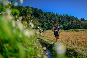 BIB: 
                            <button type="button" onclick="openModal(26573805)" class="btn btn-primary btn-sm float-right btn-popup" data-toggle="modal" data-target=".modal-high-quality">
                        <i class="fas fa-shopping-cart"></i> Add to Cart
                    </button>
                                            <button type="button" onclick="isThisMe(26573805, true)" class="btn btn-success btn-sm float-right btn-popup btn-isme hidden" data-toggle="tooltip" data-placement="bottom" title="นี่คือรูปของคุณใช่ไหม คลิกที่นี่เพื่อเอาเข้าอัลบั้ม">
                        <i class="fas fa-plus"></i> Add to album
                    </button>
                    <button type="button" onclick="isThisMe(26573805, false)" class="btn btn-warning btn-sm float-right btn-popup btn-isnotme hidden">
                        <i class="fas fa-ban"></i> Remove from album
                    </button>