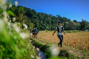 BIB: 
                            <button type="button" onclick="openModal(26575033)" class="btn btn-primary btn-sm float-right btn-popup" data-toggle="modal" data-target=".modal-high-quality">
                        <i class="fas fa-shopping-cart"></i> Add to Cart
                    </button>
                                            <button type="button" onclick="isThisMe(26575033, true)" class="btn btn-success btn-sm float-right btn-popup btn-isme hidden" data-toggle="tooltip" data-placement="bottom" title="นี่คือรูปของคุณใช่ไหม คลิกที่นี่เพื่อเอาเข้าอัลบั้ม">
                        <i class="fas fa-plus"></i> Add to album
                    </button>
                    <button type="button" onclick="isThisMe(26575033, false)" class="btn btn-warning btn-sm float-right btn-popup btn-isnotme hidden">
                        <i class="fas fa-ban"></i> Remove from album
                    </button>