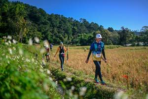 BIB: 
                            <button type="button" onclick="openModal(26575752)" class="btn btn-primary btn-sm float-right btn-popup" data-toggle="modal" data-target=".modal-high-quality">
                        <i class="fas fa-shopping-cart"></i> Add to Cart
                    </button>
                                            <button type="button" onclick="isThisMe(26575752, true)" class="btn btn-success btn-sm float-right btn-popup btn-isme hidden" data-toggle="tooltip" data-placement="bottom" title="นี่คือรูปของคุณใช่ไหม คลิกที่นี่เพื่อเอาเข้าอัลบั้ม">
                        <i class="fas fa-plus"></i> Add to album
                    </button>
                    <button type="button" onclick="isThisMe(26575752, false)" class="btn btn-warning btn-sm float-right btn-popup btn-isnotme hidden">
                        <i class="fas fa-ban"></i> Remove from album
                    </button>