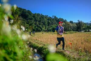 BIB: 
                            <button type="button" onclick="openModal(26574746)" class="btn btn-primary btn-sm float-right btn-popup" data-toggle="modal" data-target=".modal-high-quality">
                        <i class="fas fa-shopping-cart"></i> Add to Cart
                    </button>
                                            <button type="button" onclick="isThisMe(26574746, true)" class="btn btn-success btn-sm float-right btn-popup btn-isme hidden" data-toggle="tooltip" data-placement="bottom" title="นี่คือรูปของคุณใช่ไหม คลิกที่นี่เพื่อเอาเข้าอัลบั้ม">
                        <i class="fas fa-plus"></i> Add to album
                    </button>
                    <button type="button" onclick="isThisMe(26574746, false)" class="btn btn-warning btn-sm float-right btn-popup btn-isnotme hidden">
                        <i class="fas fa-ban"></i> Remove from album
                    </button>