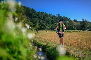 BIB: 
                            <button type="button" onclick="openModal(26574540)" class="btn btn-primary btn-sm float-right btn-popup" data-toggle="modal" data-target=".modal-high-quality">
                        <i class="fas fa-shopping-cart"></i> Add to Cart
                    </button>
                                            <button type="button" onclick="isThisMe(26574540, true)" class="btn btn-success btn-sm float-right btn-popup btn-isme hidden" data-toggle="tooltip" data-placement="bottom" title="นี่คือรูปของคุณใช่ไหม คลิกที่นี่เพื่อเอาเข้าอัลบั้ม">
                        <i class="fas fa-plus"></i> Add to album
                    </button>
                    <button type="button" onclick="isThisMe(26574540, false)" class="btn btn-warning btn-sm float-right btn-popup btn-isnotme hidden">
                        <i class="fas fa-ban"></i> Remove from album
                    </button>