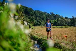 BIB: 
                            <button type="button" onclick="openModal(26574429)" class="btn btn-primary btn-sm float-right btn-popup" data-toggle="modal" data-target=".modal-high-quality">
                        <i class="fas fa-shopping-cart"></i> Add to Cart
                    </button>
                                            <button type="button" onclick="isThisMe(26574429, true)" class="btn btn-success btn-sm float-right btn-popup btn-isme hidden" data-toggle="tooltip" data-placement="bottom" title="นี่คือรูปของคุณใช่ไหม คลิกที่นี่เพื่อเอาเข้าอัลบั้ม">
                        <i class="fas fa-plus"></i> Add to album
                    </button>
                    <button type="button" onclick="isThisMe(26574429, false)" class="btn btn-warning btn-sm float-right btn-popup btn-isnotme hidden">
                        <i class="fas fa-ban"></i> Remove from album
                    </button>