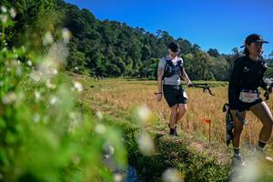 BIB: 
                            <button type="button" onclick="openModal(26579655)" class="btn btn-primary btn-sm float-right btn-popup" data-toggle="modal" data-target=".modal-high-quality">
                        <i class="fas fa-shopping-cart"></i> Add to Cart
                    </button>
                                            <button type="button" onclick="isThisMe(26579655, true)" class="btn btn-success btn-sm float-right btn-popup btn-isme hidden" data-toggle="tooltip" data-placement="bottom" title="นี่คือรูปของคุณใช่ไหม คลิกที่นี่เพื่อเอาเข้าอัลบั้ม">
                        <i class="fas fa-plus"></i> Add to album
                    </button>
                    <button type="button" onclick="isThisMe(26579655, false)" class="btn btn-warning btn-sm float-right btn-popup btn-isnotme hidden">
                        <i class="fas fa-ban"></i> Remove from album
                    </button>