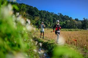 BIB: 
                            <button type="button" onclick="openModal(26574921)" class="btn btn-primary btn-sm float-right btn-popup" data-toggle="modal" data-target=".modal-high-quality">
                        <i class="fas fa-shopping-cart"></i> Add to Cart
                    </button>
                                            <button type="button" onclick="isThisMe(26574921, true)" class="btn btn-success btn-sm float-right btn-popup btn-isme hidden" data-toggle="tooltip" data-placement="bottom" title="นี่คือรูปของคุณใช่ไหม คลิกที่นี่เพื่อเอาเข้าอัลบั้ม">
                        <i class="fas fa-plus"></i> Add to album
                    </button>
                    <button type="button" onclick="isThisMe(26574921, false)" class="btn btn-warning btn-sm float-right btn-popup btn-isnotme hidden">
                        <i class="fas fa-ban"></i> Remove from album
                    </button>