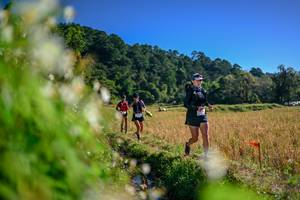 BIB: 
                            <button type="button" onclick="openModal(26572324)" class="btn btn-primary btn-sm float-right btn-popup" data-toggle="modal" data-target=".modal-high-quality">
                        <i class="fas fa-shopping-cart"></i> Add to Cart
                    </button>
                                            <button type="button" onclick="isThisMe(26572324, true)" class="btn btn-success btn-sm float-right btn-popup btn-isme hidden" data-toggle="tooltip" data-placement="bottom" title="นี่คือรูปของคุณใช่ไหม คลิกที่นี่เพื่อเอาเข้าอัลบั้ม">
                        <i class="fas fa-plus"></i> Add to album
                    </button>
                    <button type="button" onclick="isThisMe(26572324, false)" class="btn btn-warning btn-sm float-right btn-popup btn-isnotme hidden">
                        <i class="fas fa-ban"></i> Remove from album
                    </button>