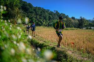 BIB: 
                            <button type="button" onclick="openModal(26576278)" class="btn btn-primary btn-sm float-right btn-popup" data-toggle="modal" data-target=".modal-high-quality">
                        <i class="fas fa-shopping-cart"></i> Add to Cart
                    </button>
                                            <button type="button" onclick="isThisMe(26576278, true)" class="btn btn-success btn-sm float-right btn-popup btn-isme hidden" data-toggle="tooltip" data-placement="bottom" title="นี่คือรูปของคุณใช่ไหม คลิกที่นี่เพื่อเอาเข้าอัลบั้ม">
                        <i class="fas fa-plus"></i> Add to album
                    </button>
                    <button type="button" onclick="isThisMe(26576278, false)" class="btn btn-warning btn-sm float-right btn-popup btn-isnotme hidden">
                        <i class="fas fa-ban"></i> Remove from album
                    </button>