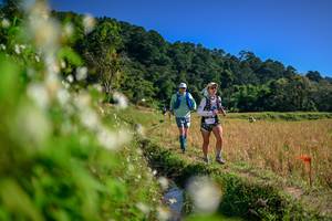 BIB: 
                            <button type="button" onclick="openModal(26575265)" class="btn btn-primary btn-sm float-right btn-popup" data-toggle="modal" data-target=".modal-high-quality">
                        <i class="fas fa-shopping-cart"></i> Add to Cart
                    </button>
                                            <button type="button" onclick="isThisMe(26575265, true)" class="btn btn-success btn-sm float-right btn-popup btn-isme hidden" data-toggle="tooltip" data-placement="bottom" title="นี่คือรูปของคุณใช่ไหม คลิกที่นี่เพื่อเอาเข้าอัลบั้ม">
                        <i class="fas fa-plus"></i> Add to album
                    </button>
                    <button type="button" onclick="isThisMe(26575265, false)" class="btn btn-warning btn-sm float-right btn-popup btn-isnotme hidden">
                        <i class="fas fa-ban"></i> Remove from album
                    </button>