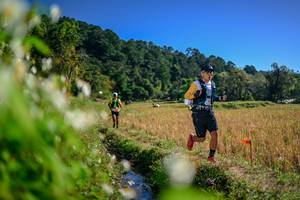 BIB: 
                            <button type="button" onclick="openModal(26574514)" class="btn btn-primary btn-sm float-right btn-popup" data-toggle="modal" data-target=".modal-high-quality">
                        <i class="fas fa-shopping-cart"></i> Add to Cart
                    </button>
                                            <button type="button" onclick="isThisMe(26574514, true)" class="btn btn-success btn-sm float-right btn-popup btn-isme hidden" data-toggle="tooltip" data-placement="bottom" title="นี่คือรูปของคุณใช่ไหม คลิกที่นี่เพื่อเอาเข้าอัลบั้ม">
                        <i class="fas fa-plus"></i> Add to album
                    </button>
                    <button type="button" onclick="isThisMe(26574514, false)" class="btn btn-warning btn-sm float-right btn-popup btn-isnotme hidden">
                        <i class="fas fa-ban"></i> Remove from album
                    </button>