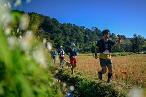 BIB: 
                            <button type="button" onclick="openModal(26572114)" class="btn btn-primary btn-sm float-right btn-popup" data-toggle="modal" data-target=".modal-high-quality">
                        <i class="fas fa-shopping-cart"></i> Add to Cart
                    </button>
                                            <button type="button" onclick="isThisMe(26572114, true)" class="btn btn-success btn-sm float-right btn-popup btn-isme hidden" data-toggle="tooltip" data-placement="bottom" title="นี่คือรูปของคุณใช่ไหม คลิกที่นี่เพื่อเอาเข้าอัลบั้ม">
                        <i class="fas fa-plus"></i> Add to album
                    </button>
                    <button type="button" onclick="isThisMe(26572114, false)" class="btn btn-warning btn-sm float-right btn-popup btn-isnotme hidden">
                        <i class="fas fa-ban"></i> Remove from album
                    </button>