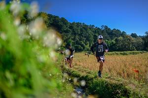 BIB: 
                            <button type="button" onclick="openModal(26572054)" class="btn btn-primary btn-sm float-right btn-popup" data-toggle="modal" data-target=".modal-high-quality">
                        <i class="fas fa-shopping-cart"></i> Add to Cart
                    </button>
                                            <button type="button" onclick="isThisMe(26572054, true)" class="btn btn-success btn-sm float-right btn-popup btn-isme hidden" data-toggle="tooltip" data-placement="bottom" title="นี่คือรูปของคุณใช่ไหม คลิกที่นี่เพื่อเอาเข้าอัลบั้ม">
                        <i class="fas fa-plus"></i> Add to album
                    </button>
                    <button type="button" onclick="isThisMe(26572054, false)" class="btn btn-warning btn-sm float-right btn-popup btn-isnotme hidden">
                        <i class="fas fa-ban"></i> Remove from album
                    </button>