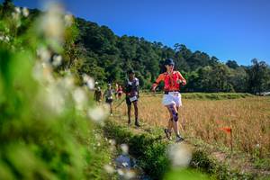 BIB: 
                            <button type="button" onclick="openModal(26575314)" class="btn btn-primary btn-sm float-right btn-popup" data-toggle="modal" data-target=".modal-high-quality">
                        <i class="fas fa-shopping-cart"></i> Add to Cart
                    </button>
                                            <button type="button" onclick="isThisMe(26575314, true)" class="btn btn-success btn-sm float-right btn-popup btn-isme hidden" data-toggle="tooltip" data-placement="bottom" title="นี่คือรูปของคุณใช่ไหม คลิกที่นี่เพื่อเอาเข้าอัลบั้ม">
                        <i class="fas fa-plus"></i> Add to album
                    </button>
                    <button type="button" onclick="isThisMe(26575314, false)" class="btn btn-warning btn-sm float-right btn-popup btn-isnotme hidden">
                        <i class="fas fa-ban"></i> Remove from album
                    </button>