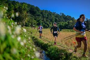 BIB: 
                            <button type="button" onclick="openModal(26575888)" class="btn btn-primary btn-sm float-right btn-popup" data-toggle="modal" data-target=".modal-high-quality">
                        <i class="fas fa-shopping-cart"></i> Add to Cart
                    </button>
                                            <button type="button" onclick="isThisMe(26575888, true)" class="btn btn-success btn-sm float-right btn-popup btn-isme hidden" data-toggle="tooltip" data-placement="bottom" title="นี่คือรูปของคุณใช่ไหม คลิกที่นี่เพื่อเอาเข้าอัลบั้ม">
                        <i class="fas fa-plus"></i> Add to album
                    </button>
                    <button type="button" onclick="isThisMe(26575888, false)" class="btn btn-warning btn-sm float-right btn-popup btn-isnotme hidden">
                        <i class="fas fa-ban"></i> Remove from album
                    </button>