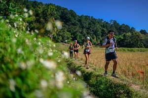 BIB: 
                            <button type="button" onclick="openModal(26583088)" class="btn btn-primary btn-sm float-right btn-popup" data-toggle="modal" data-target=".modal-high-quality">
                        <i class="fas fa-shopping-cart"></i> Add to Cart
                    </button>
                                            <button type="button" onclick="isThisMe(26583088, true)" class="btn btn-success btn-sm float-right btn-popup btn-isme hidden" data-toggle="tooltip" data-placement="bottom" title="นี่คือรูปของคุณใช่ไหม คลิกที่นี่เพื่อเอาเข้าอัลบั้ม">
                        <i class="fas fa-plus"></i> Add to album
                    </button>
                    <button type="button" onclick="isThisMe(26583088, false)" class="btn btn-warning btn-sm float-right btn-popup btn-isnotme hidden">
                        <i class="fas fa-ban"></i> Remove from album
                    </button>