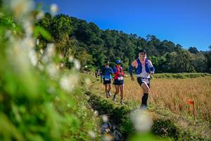 BIB: 
                            <button type="button" onclick="openModal(26572985)" class="btn btn-primary btn-sm float-right btn-popup" data-toggle="modal" data-target=".modal-high-quality">
                        <i class="fas fa-shopping-cart"></i> Add to Cart
                    </button>
                                            <button type="button" onclick="isThisMe(26572985, true)" class="btn btn-success btn-sm float-right btn-popup btn-isme hidden" data-toggle="tooltip" data-placement="bottom" title="นี่คือรูปของคุณใช่ไหม คลิกที่นี่เพื่อเอาเข้าอัลบั้ม">
                        <i class="fas fa-plus"></i> Add to album
                    </button>
                    <button type="button" onclick="isThisMe(26572985, false)" class="btn btn-warning btn-sm float-right btn-popup btn-isnotme hidden">
                        <i class="fas fa-ban"></i> Remove from album
                    </button>