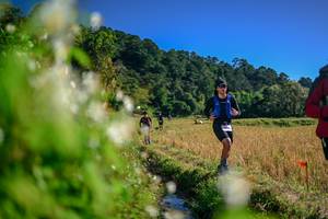 BIB: 
                            <button type="button" onclick="openModal(26573097)" class="btn btn-primary btn-sm float-right btn-popup" data-toggle="modal" data-target=".modal-high-quality">
                        <i class="fas fa-shopping-cart"></i> Add to Cart
                    </button>
                                            <button type="button" onclick="isThisMe(26573097, true)" class="btn btn-success btn-sm float-right btn-popup btn-isme hidden" data-toggle="tooltip" data-placement="bottom" title="นี่คือรูปของคุณใช่ไหม คลิกที่นี่เพื่อเอาเข้าอัลบั้ม">
                        <i class="fas fa-plus"></i> Add to album
                    </button>
                    <button type="button" onclick="isThisMe(26573097, false)" class="btn btn-warning btn-sm float-right btn-popup btn-isnotme hidden">
                        <i class="fas fa-ban"></i> Remove from album
                    </button>