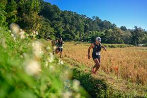 BIB: 
                            <button type="button" onclick="openModal(26570794)" class="btn btn-primary btn-sm float-right btn-popup" data-toggle="modal" data-target=".modal-high-quality">
                        <i class="fas fa-shopping-cart"></i> Add to Cart
                    </button>
                                            <button type="button" onclick="isThisMe(26570794, true)" class="btn btn-success btn-sm float-right btn-popup btn-isme hidden" data-toggle="tooltip" data-placement="bottom" title="นี่คือรูปของคุณใช่ไหม คลิกที่นี่เพื่อเอาเข้าอัลบั้ม">
                        <i class="fas fa-plus"></i> Add to album
                    </button>
                    <button type="button" onclick="isThisMe(26570794, false)" class="btn btn-warning btn-sm float-right btn-popup btn-isnotme hidden">
                        <i class="fas fa-ban"></i> Remove from album
                    </button>