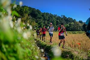 BIB: 
                            <button type="button" onclick="openModal(26573047)" class="btn btn-primary btn-sm float-right btn-popup" data-toggle="modal" data-target=".modal-high-quality">
                        <i class="fas fa-shopping-cart"></i> Add to Cart
                    </button>
                                            <button type="button" onclick="isThisMe(26573047, true)" class="btn btn-success btn-sm float-right btn-popup btn-isme hidden" data-toggle="tooltip" data-placement="bottom" title="นี่คือรูปของคุณใช่ไหม คลิกที่นี่เพื่อเอาเข้าอัลบั้ม">
                        <i class="fas fa-plus"></i> Add to album
                    </button>
                    <button type="button" onclick="isThisMe(26573047, false)" class="btn btn-warning btn-sm float-right btn-popup btn-isnotme hidden">
                        <i class="fas fa-ban"></i> Remove from album
                    </button>