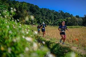 BIB: 
                            <button type="button" onclick="openModal(26582358)" class="btn btn-primary btn-sm float-right btn-popup" data-toggle="modal" data-target=".modal-high-quality">
                        <i class="fas fa-shopping-cart"></i> Add to Cart
                    </button>
                                            <button type="button" onclick="isThisMe(26582358, true)" class="btn btn-success btn-sm float-right btn-popup btn-isme hidden" data-toggle="tooltip" data-placement="bottom" title="นี่คือรูปของคุณใช่ไหม คลิกที่นี่เพื่อเอาเข้าอัลบั้ม">
                        <i class="fas fa-plus"></i> Add to album
                    </button>
                    <button type="button" onclick="isThisMe(26582358, false)" class="btn btn-warning btn-sm float-right btn-popup btn-isnotme hidden">
                        <i class="fas fa-ban"></i> Remove from album
                    </button>