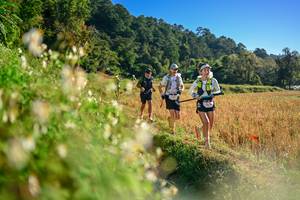 BIB: 
                            <button type="button" onclick="openModal(26571002)" class="btn btn-primary btn-sm float-right btn-popup" data-toggle="modal" data-target=".modal-high-quality">
                        <i class="fas fa-shopping-cart"></i> Add to Cart
                    </button>
                                            <button type="button" onclick="isThisMe(26571002, true)" class="btn btn-success btn-sm float-right btn-popup btn-isme hidden" data-toggle="tooltip" data-placement="bottom" title="นี่คือรูปของคุณใช่ไหม คลิกที่นี่เพื่อเอาเข้าอัลบั้ม">
                        <i class="fas fa-plus"></i> Add to album
                    </button>
                    <button type="button" onclick="isThisMe(26571002, false)" class="btn btn-warning btn-sm float-right btn-popup btn-isnotme hidden">
                        <i class="fas fa-ban"></i> Remove from album
                    </button>