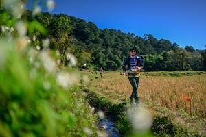 BIB: 
                            <button type="button" onclick="openModal(26573881)" class="btn btn-primary btn-sm float-right btn-popup" data-toggle="modal" data-target=".modal-high-quality">
                        <i class="fas fa-shopping-cart"></i> Add to Cart
                    </button>
                                            <button type="button" onclick="isThisMe(26573881, true)" class="btn btn-success btn-sm float-right btn-popup btn-isme hidden" data-toggle="tooltip" data-placement="bottom" title="นี่คือรูปของคุณใช่ไหม คลิกที่นี่เพื่อเอาเข้าอัลบั้ม">
                        <i class="fas fa-plus"></i> Add to album
                    </button>
                    <button type="button" onclick="isThisMe(26573881, false)" class="btn btn-warning btn-sm float-right btn-popup btn-isnotme hidden">
                        <i class="fas fa-ban"></i> Remove from album
                    </button>